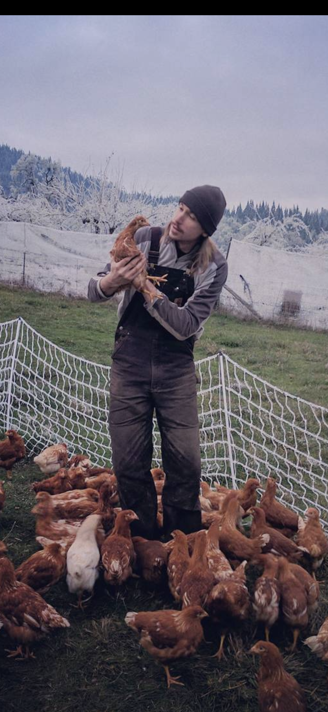 Intensive Rotational Grazing Chickens | Oregon